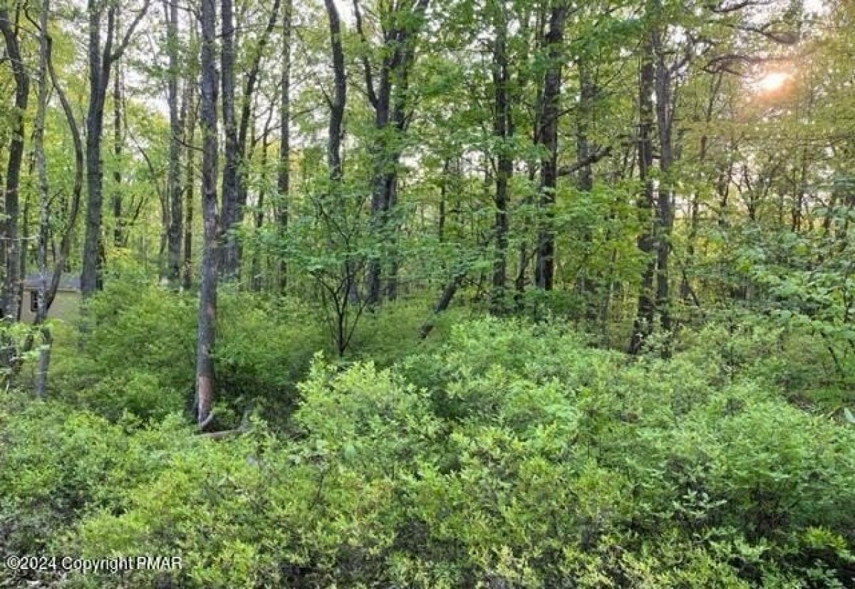Picture of Residential Land For Rent in Jim Thorpe, Pennsylvania, United States