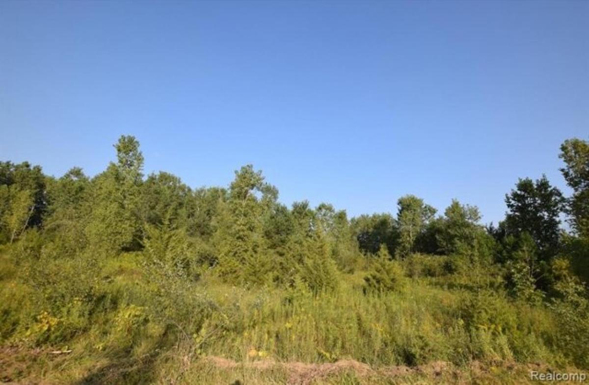 Picture of Residential Land For Sale in Flushing, Michigan, United States
