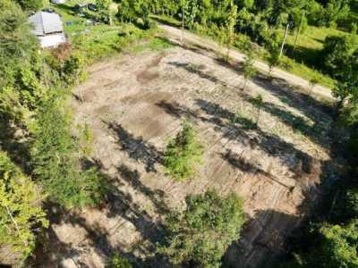 Residential Land For Sale in Altha, Florida