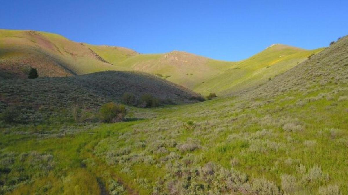 Picture of Residential Land For Sale in Hailey, Idaho, United States