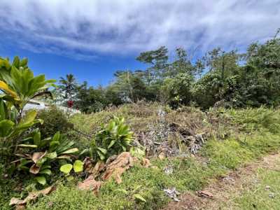 Residential Land For Sale in Pahoa, Hawaii