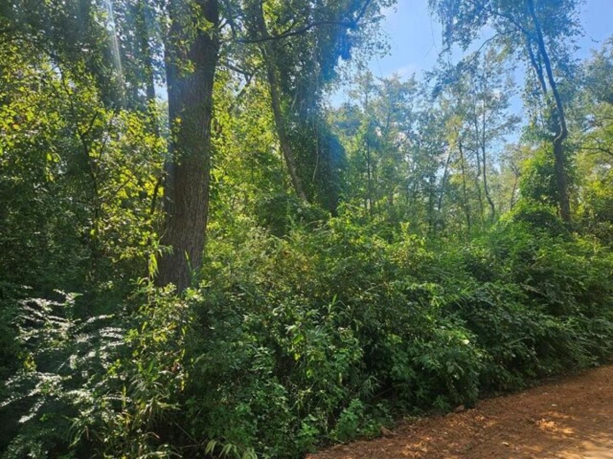 Picture of Residential Land For Sale in Ray City, Georgia, United States