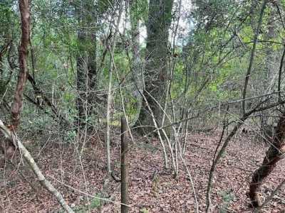 Residential Land For Sale in Dozier, Alabama