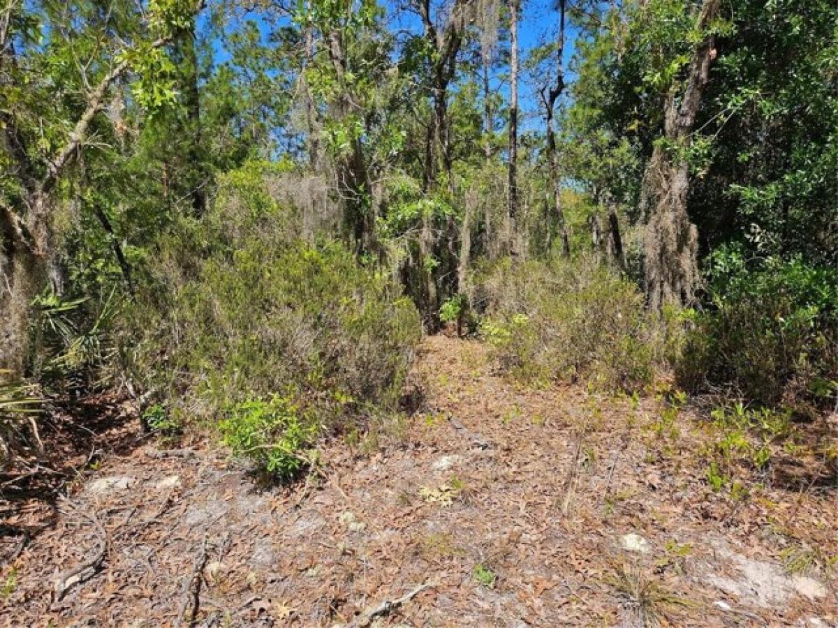 Picture of Residential Land For Sale in Interlachen, Florida, United States