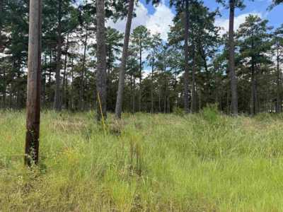 Residential Land For Sale in Brookeland, Texas