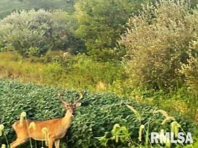 Residential Land For Sale in Macedonia, Illinois