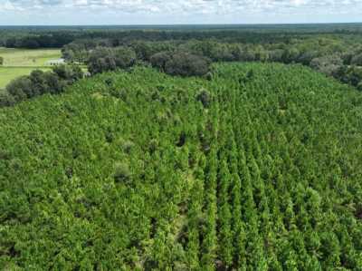 Residential Land For Sale in Lake City, Florida