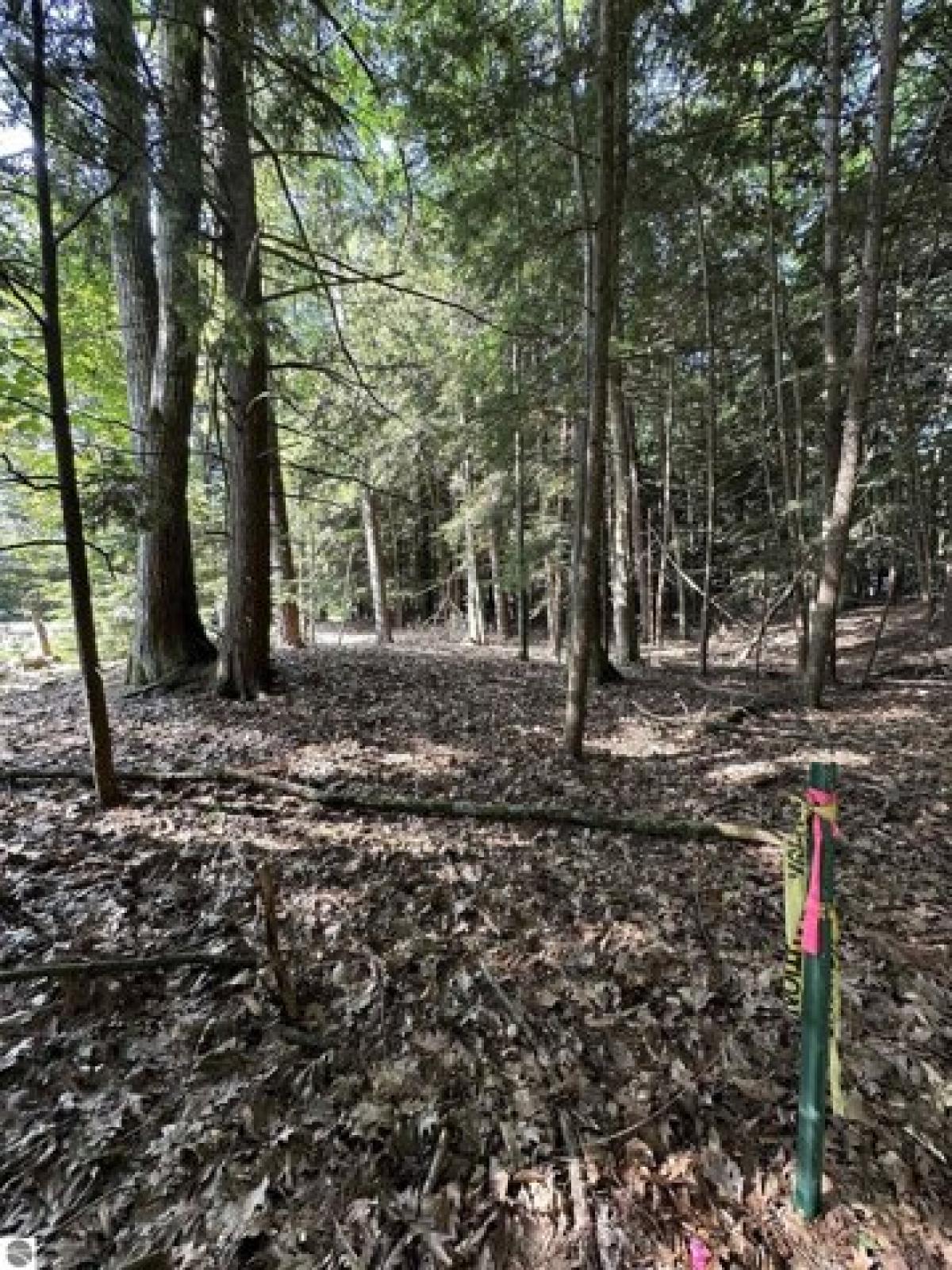 Picture of Residential Land For Sale in Northport, Michigan, United States