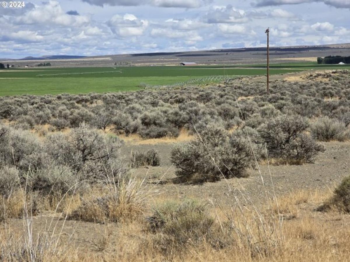 Picture of Residential Land For Rent in Christmas Valley, Oregon, United States