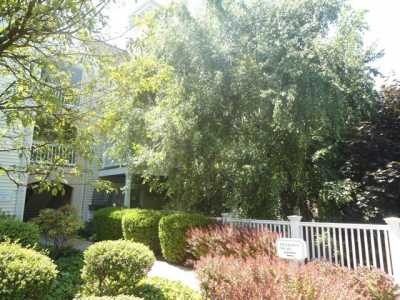 Home For Rent in Old Greenwich, Connecticut