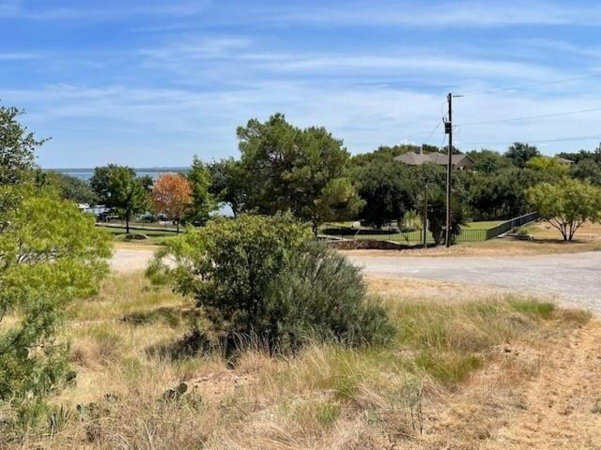 Picture of Residential Land For Sale in Brownwood, Texas, United States