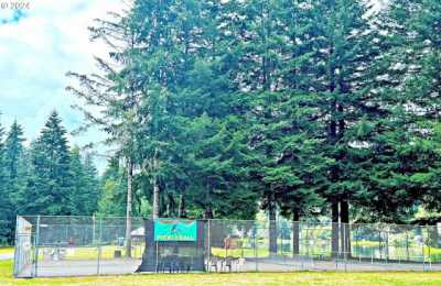 Residential Land For Sale in Birkenfeld, Oregon