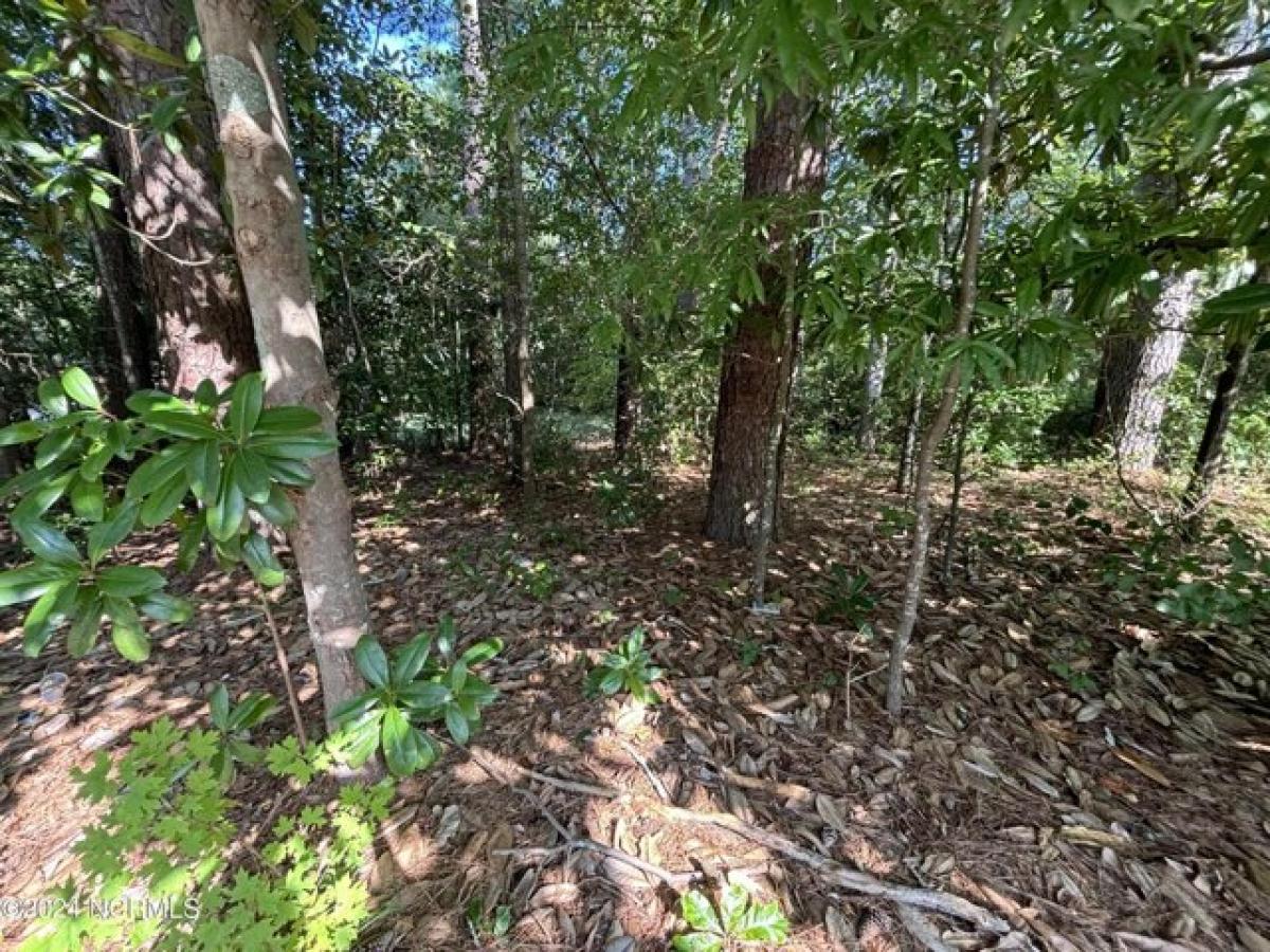 Picture of Residential Land For Sale in Williamston, North Carolina, United States