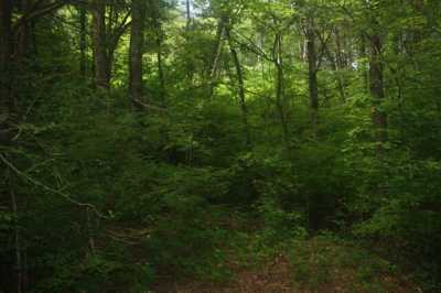 Residential Land For Sale in Thompsons Station, Tennessee