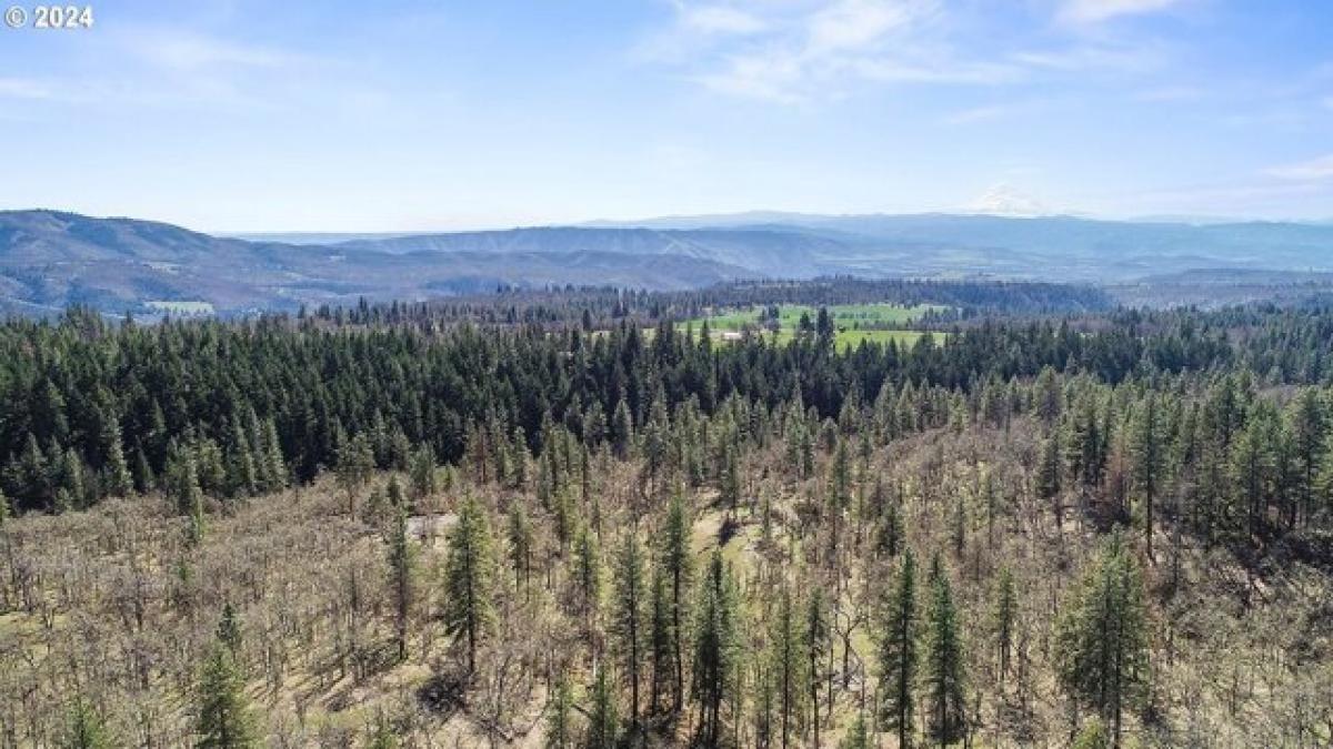 Picture of Residential Land For Sale in Lyle, Washington, United States