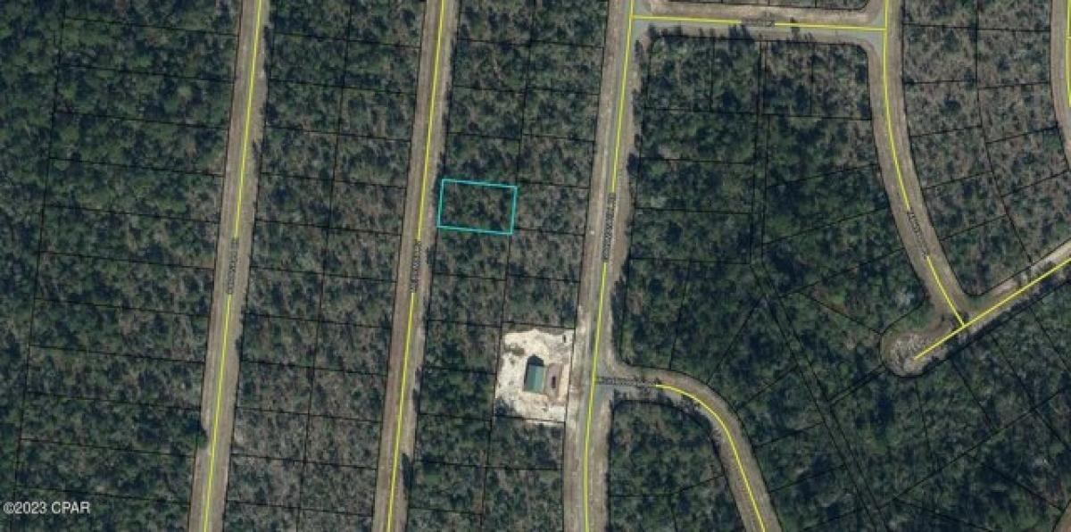 Picture of Residential Land For Rent in Chipley, Florida, United States