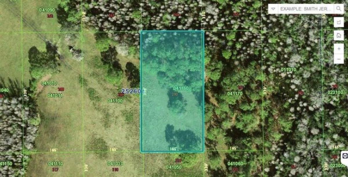 Picture of Residential Land For Rent in Polk City, Florida, United States