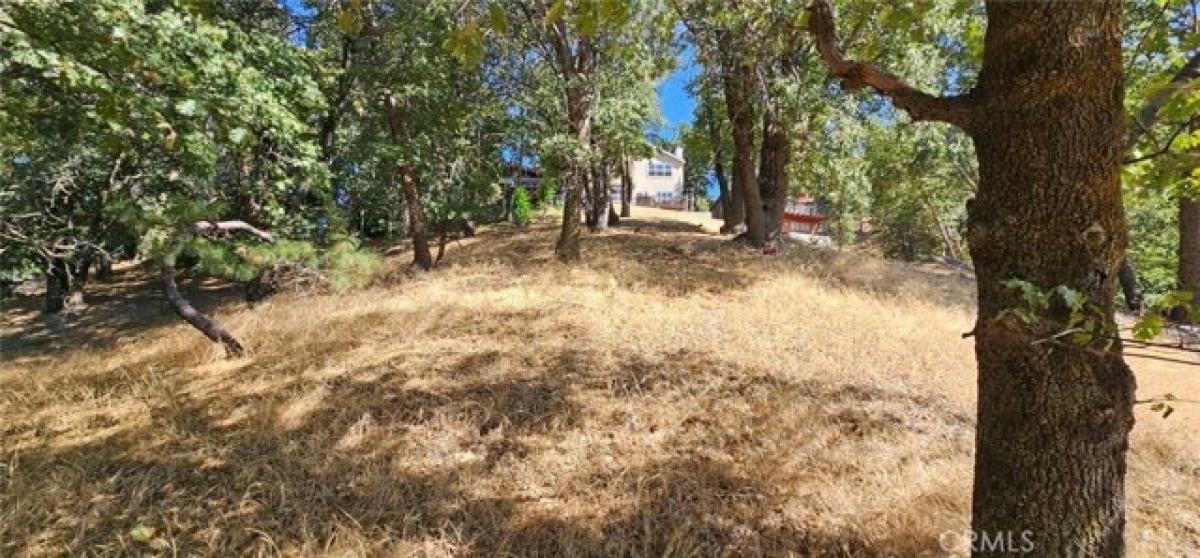 Picture of Residential Land For Sale in Crestline, California, United States