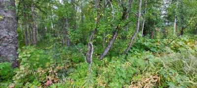 Residential Land For Sale in Talkeetna, Alaska