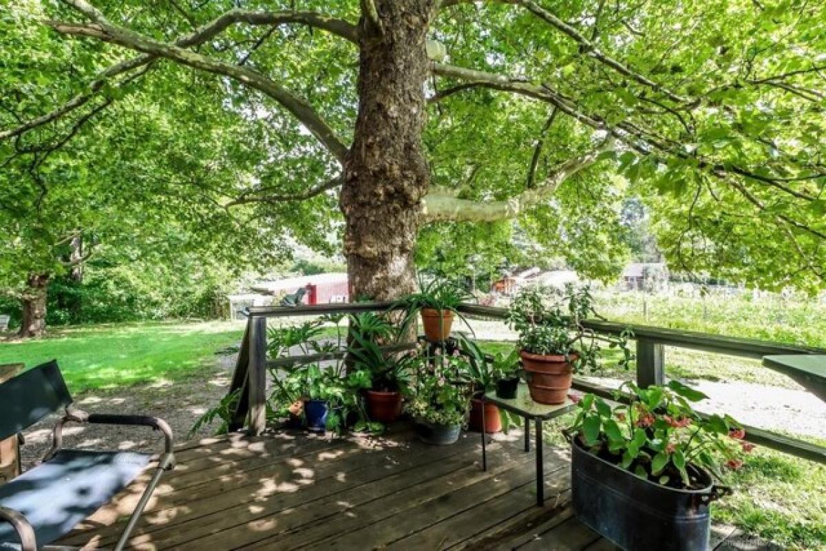 Picture of Home For Sale in New Milford, Connecticut, United States