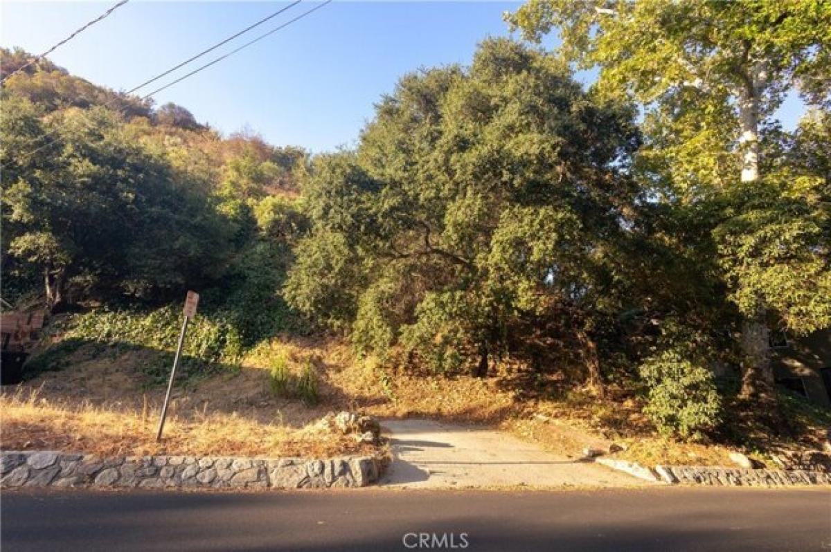 Picture of Residential Land For Sale in Burbank, California, United States