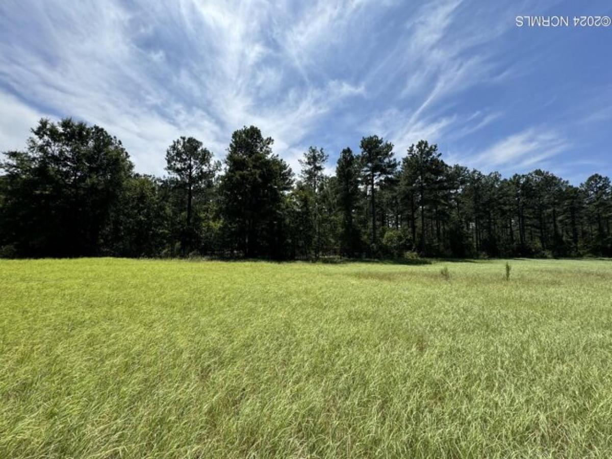 Picture of Residential Land For Sale in Jackson Springs, North Carolina, United States