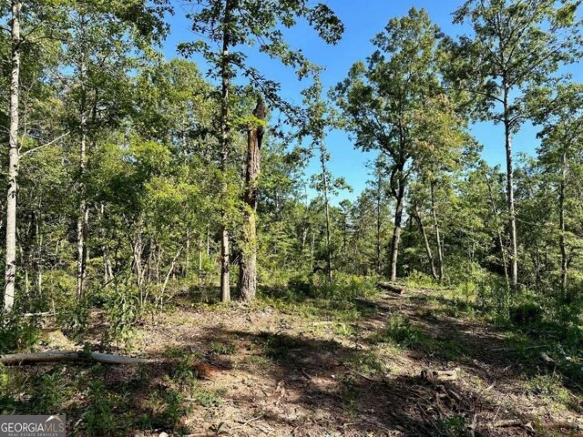 Picture of Residential Land For Sale in Dawsonville, Georgia, United States