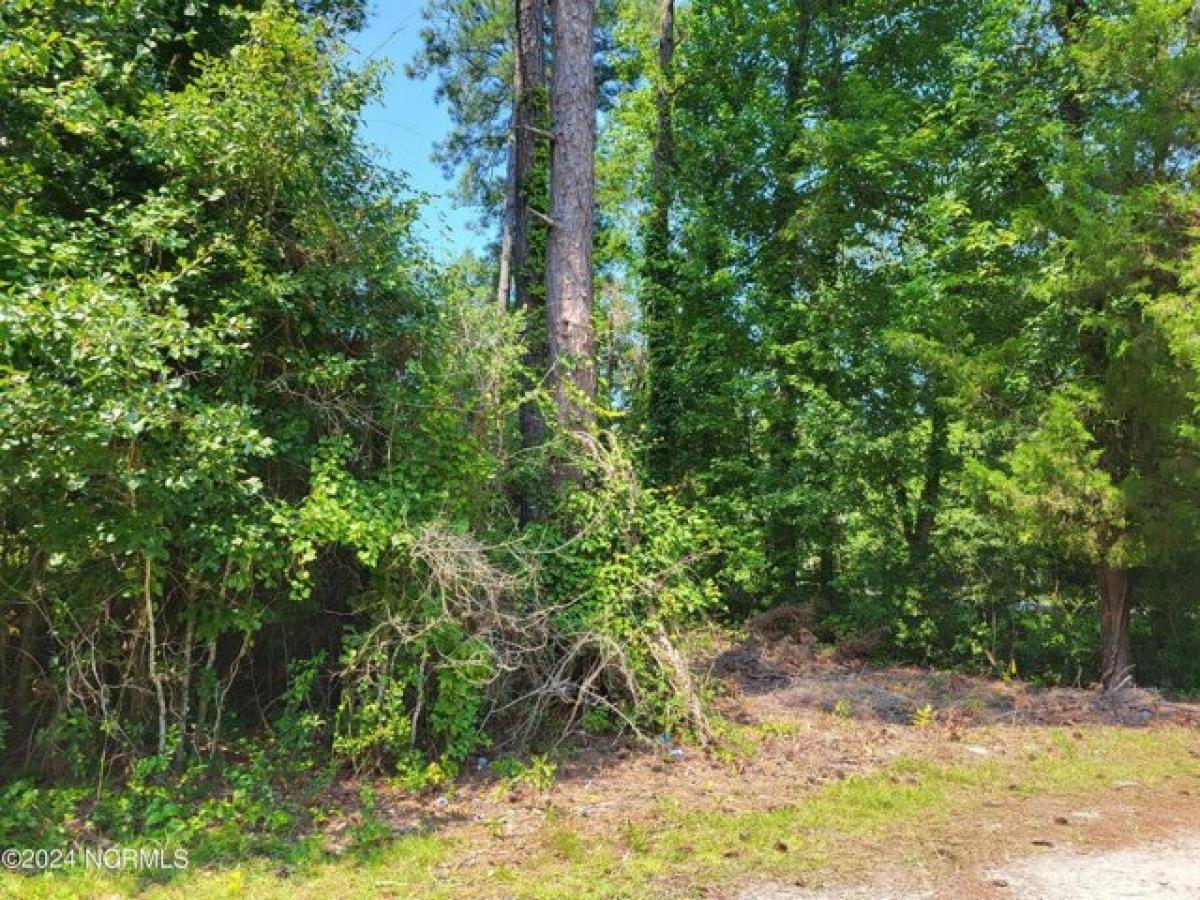 Picture of Residential Land For Sale in Washington, North Carolina, United States