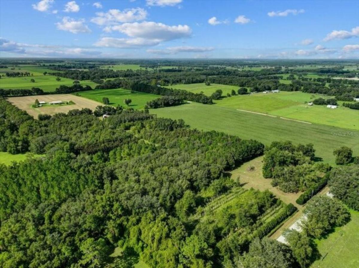 Picture of Residential Land For Rent in Trenton, Florida, United States