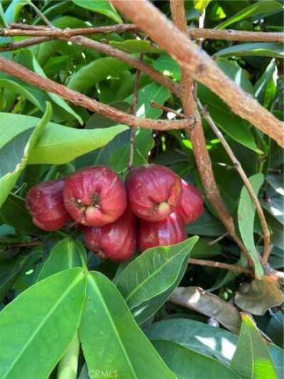 Home For Sale in Moorpark, California