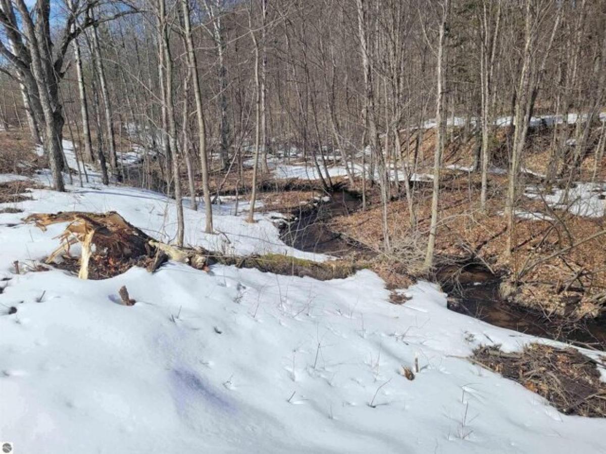 Picture of Residential Land For Sale in Kalkaska, Michigan, United States