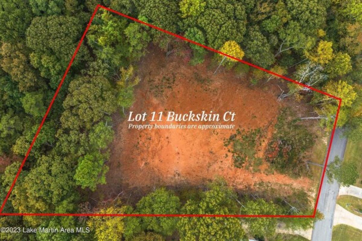 Picture of Residential Land For Sale in Dadeville, Alabama, United States