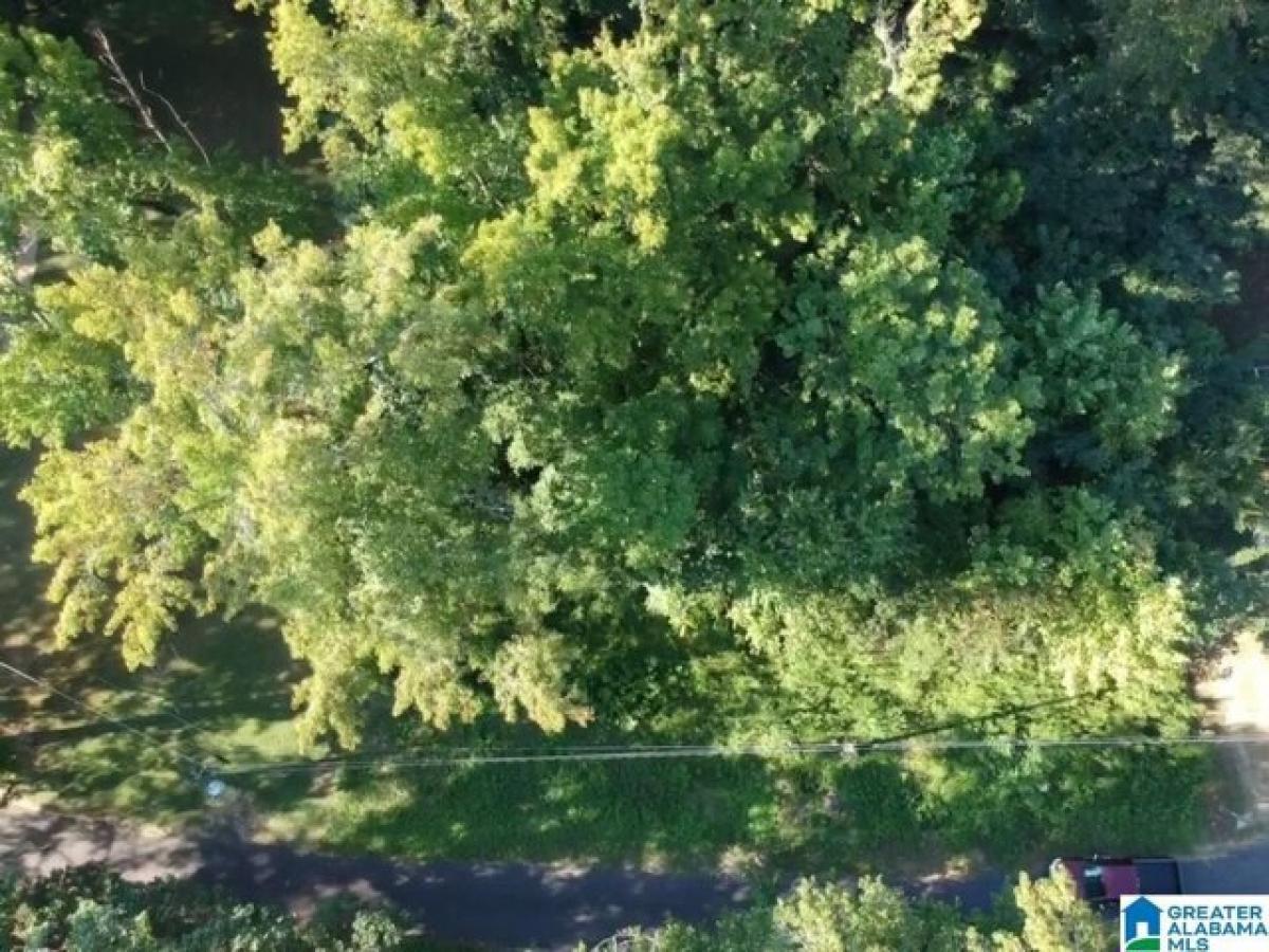 Picture of Residential Land For Sale in Irondale, Alabama, United States