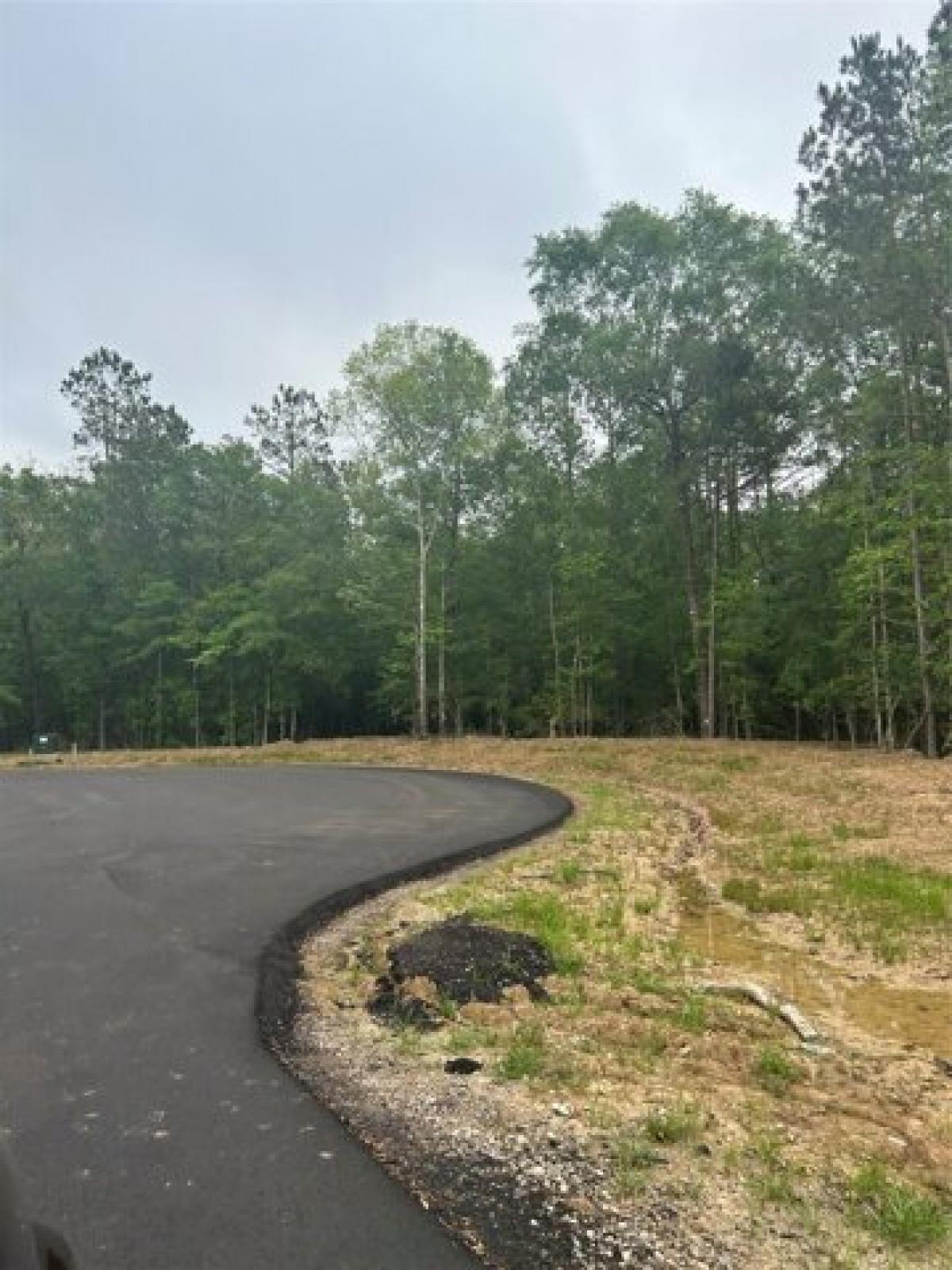 Picture of Residential Land For Sale in Dayton, Texas, United States