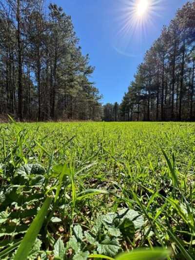 Residential Land For Sale in Louisville, Alabama