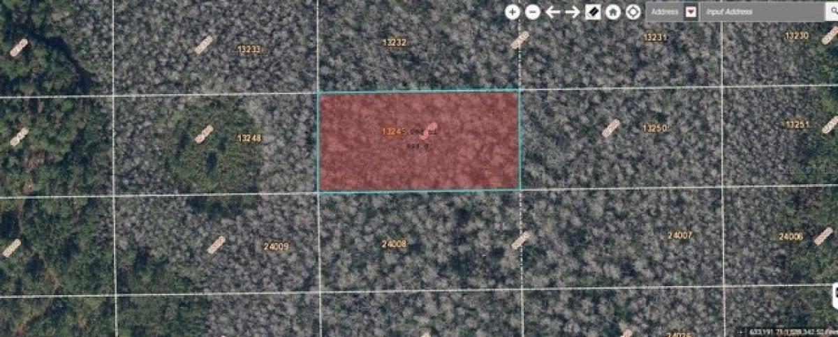 Picture of Residential Land For Sale in Orlando, Florida, United States