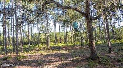Residential Land For Sale in Hawthorne, Florida