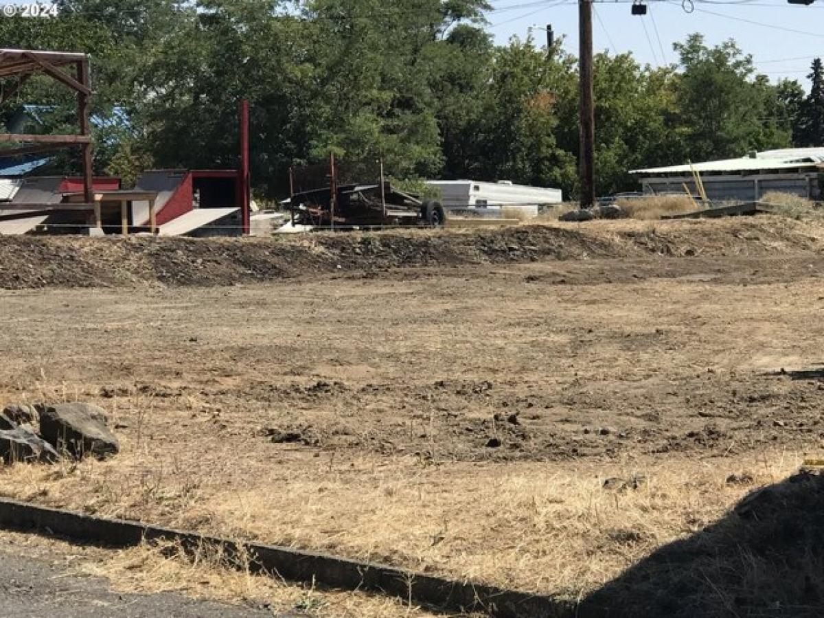 Picture of Residential Land For Sale in Goldendale, Washington, United States