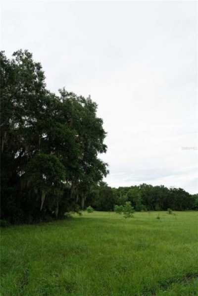 Residential Land For Sale in Gainesville, Florida
