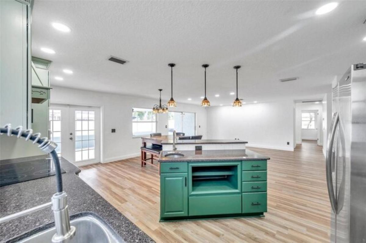 Picture of Home For Rent in Palm Harbor, Florida, United States