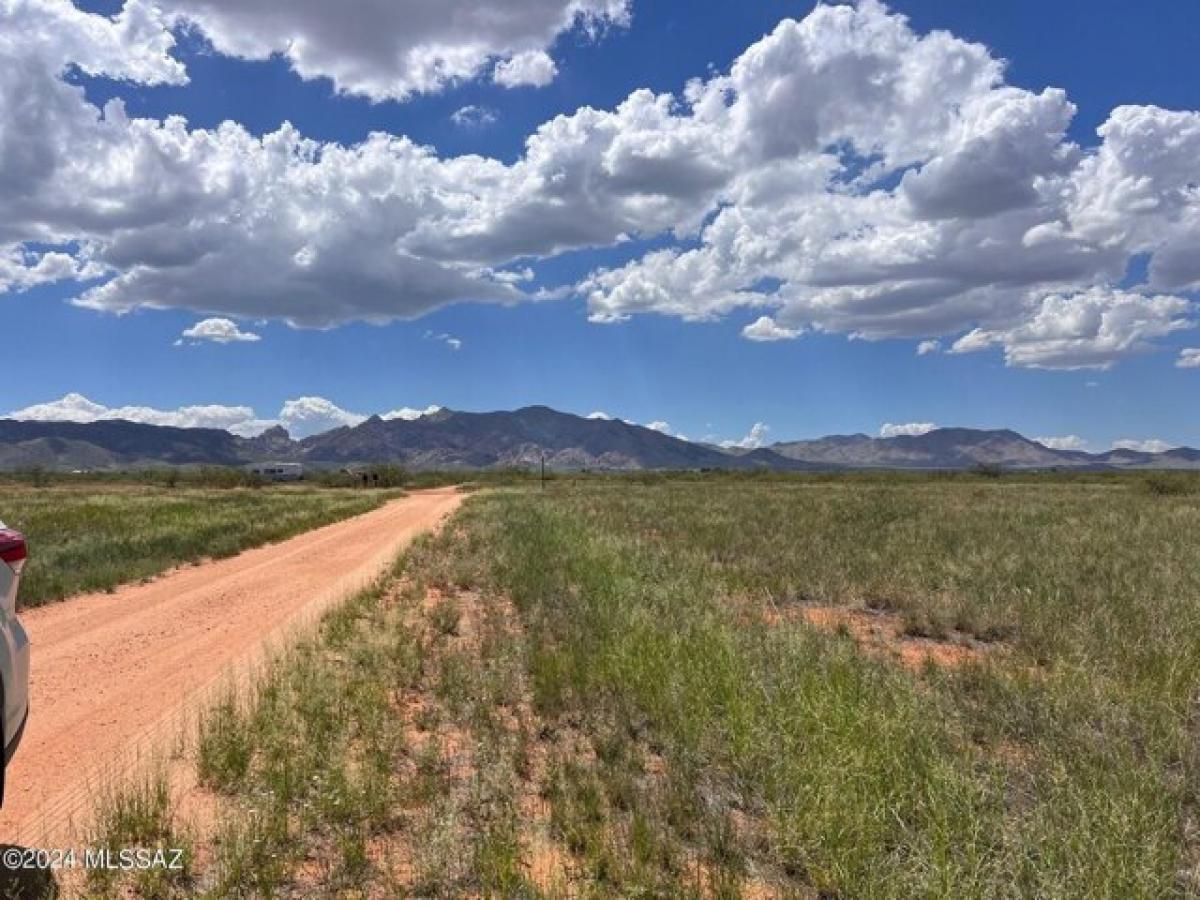Picture of Residential Land For Rent in Pearce, Arizona, United States