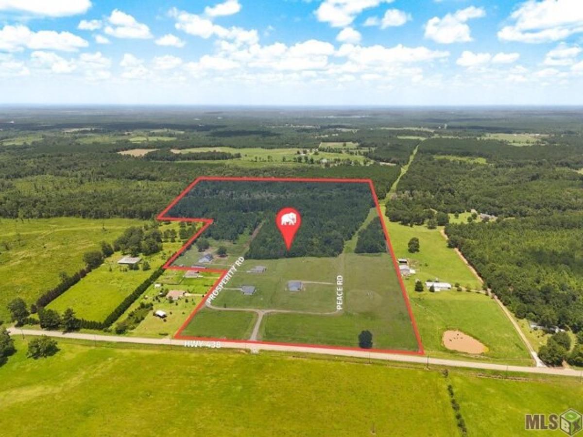 Picture of Residential Land For Sale in Franklinton, Louisiana, United States