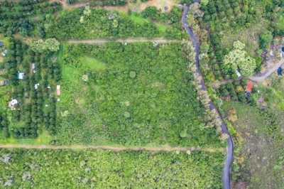 Residential Land For Sale in Captain Cook, Hawaii