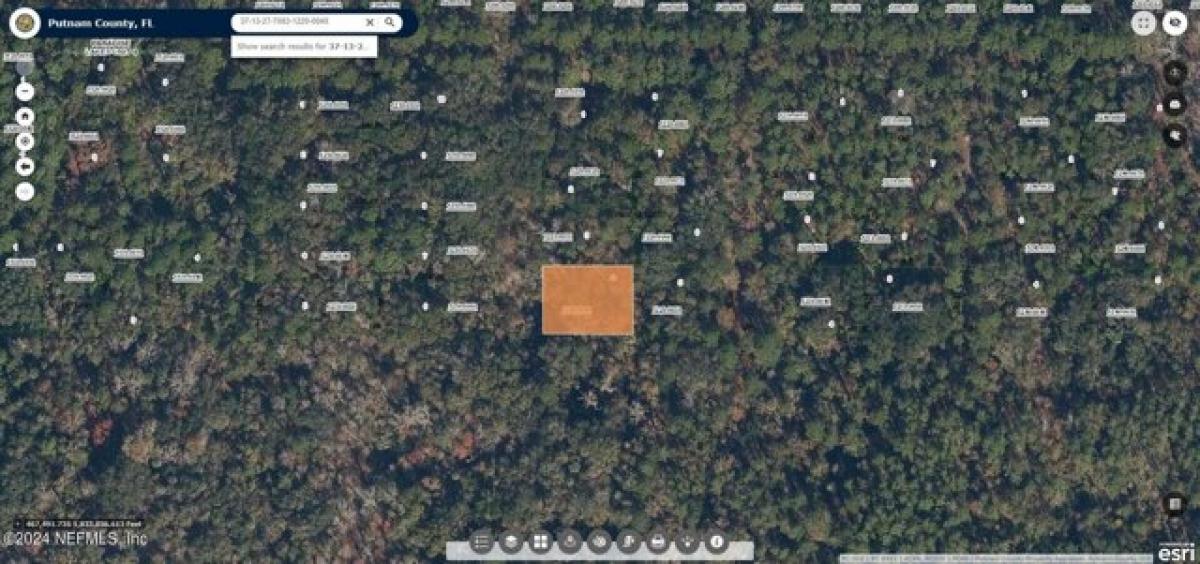 Picture of Residential Land For Rent in Georgetown, Florida, United States