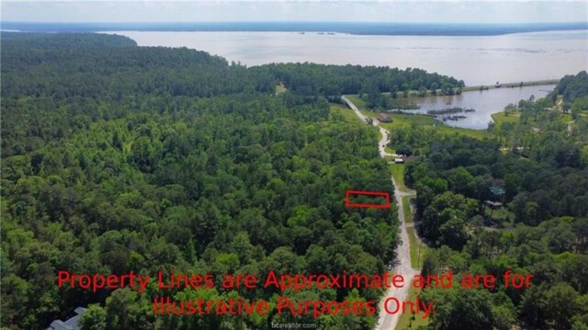 Picture of Residential Land For Rent in Trinity, Texas, United States