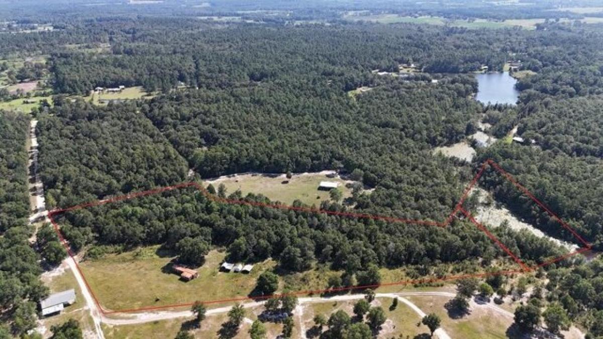 Picture of Residential Land For Sale in Geneva, Alabama, United States