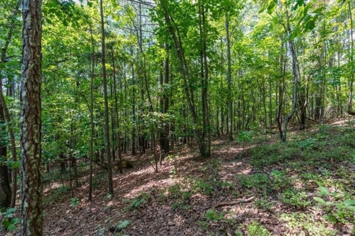 Picture of Residential Land For Sale in Rome, Georgia, United States