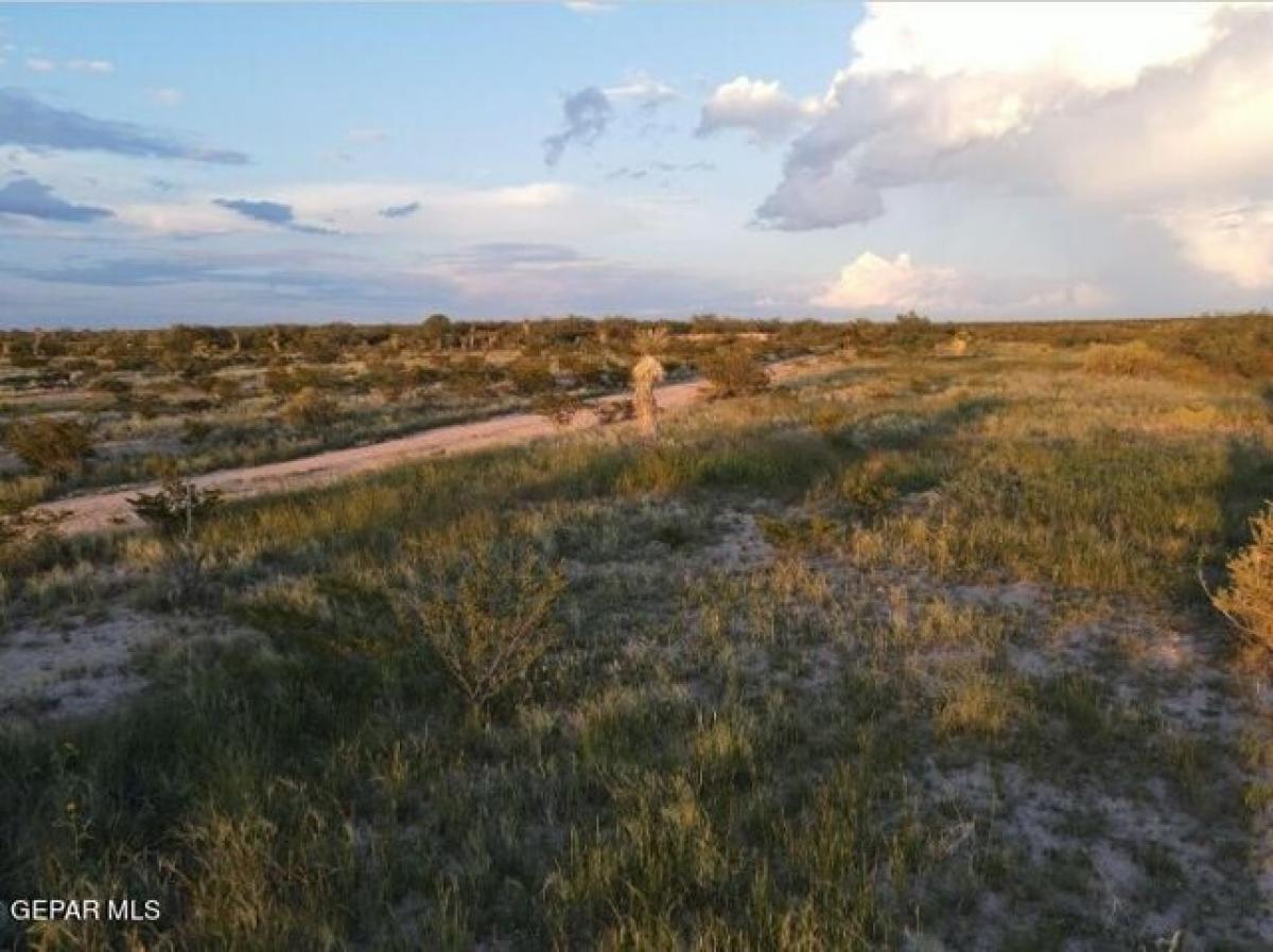 Picture of Residential Land For Rent in Sierra Blanca, Texas, United States