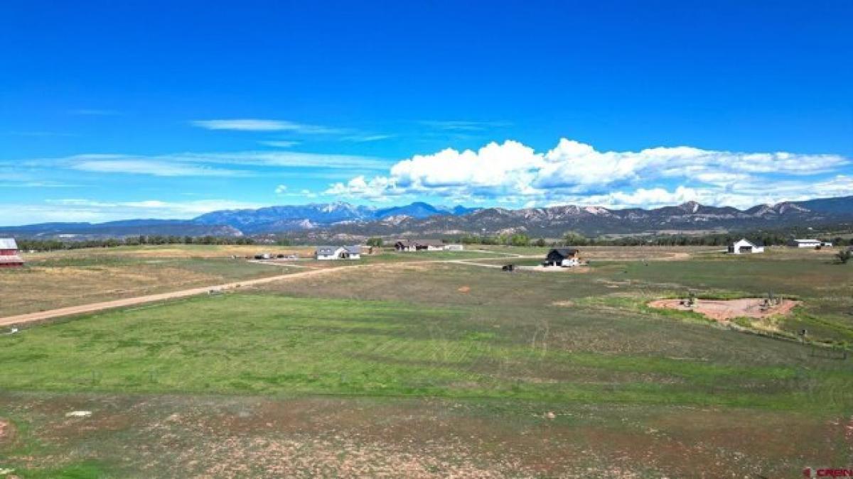 Picture of Residential Land For Sale in Durango, Colorado, United States