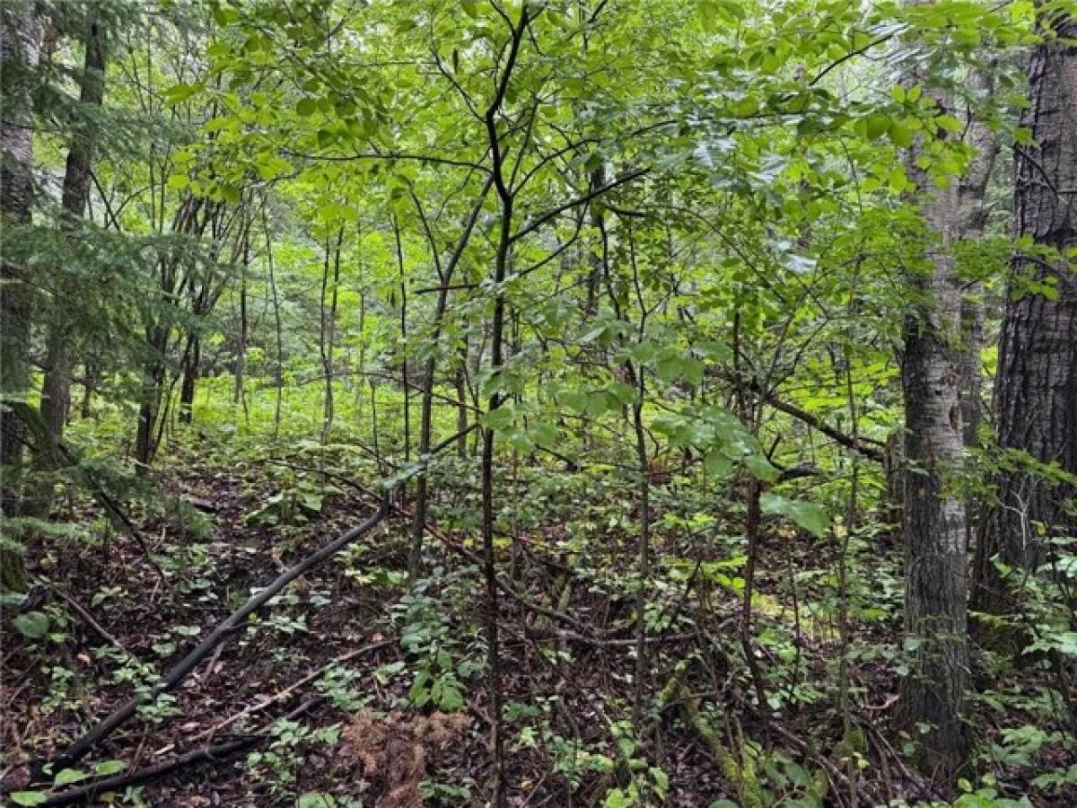 Picture of Residential Land For Sale in International Falls, Minnesota, United States